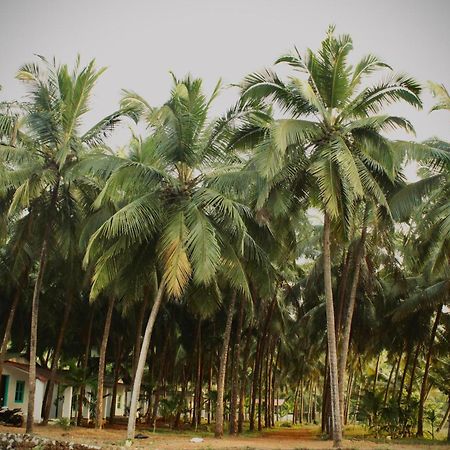 India Yoga Village Canacona Exteriör bild