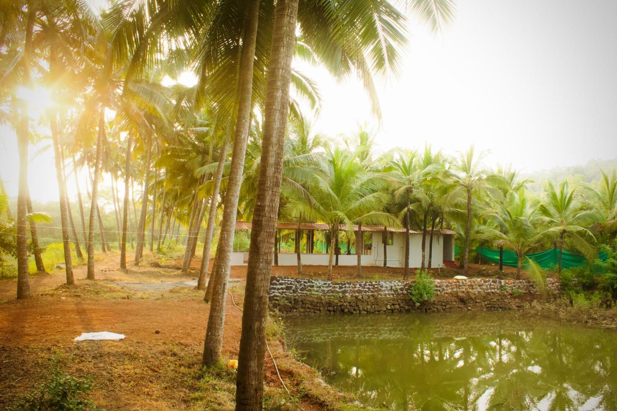 India Yoga Village Canacona Exteriör bild