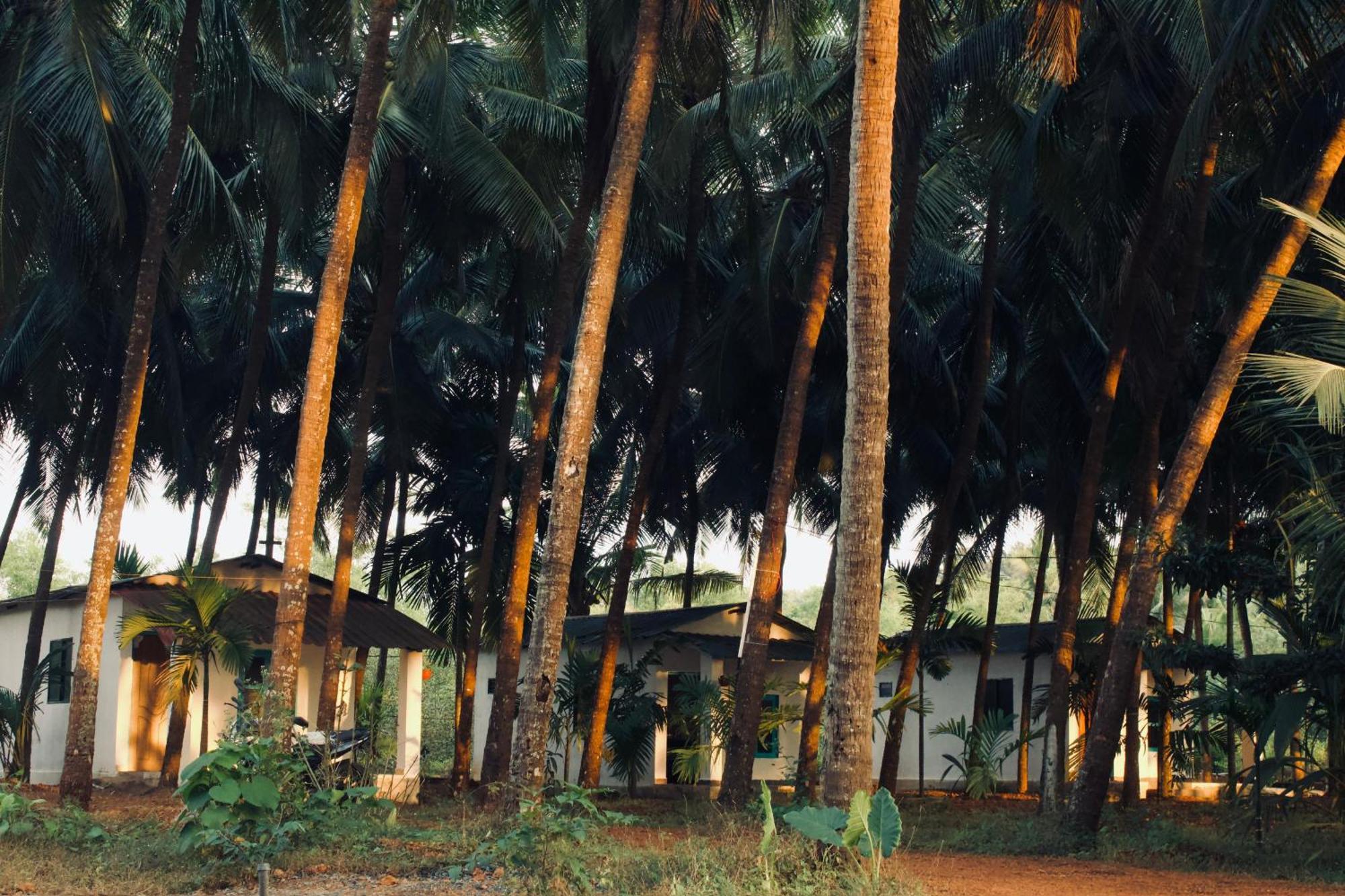 India Yoga Village Canacona Exteriör bild